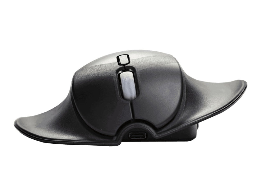 HandshoeSHIFTMOUSE_501c6c4e-