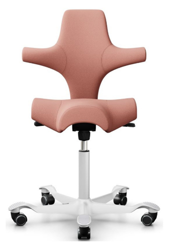 Ergo best sale saddle chair