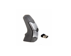 DXT Ergonomic Wireless Mouse 2