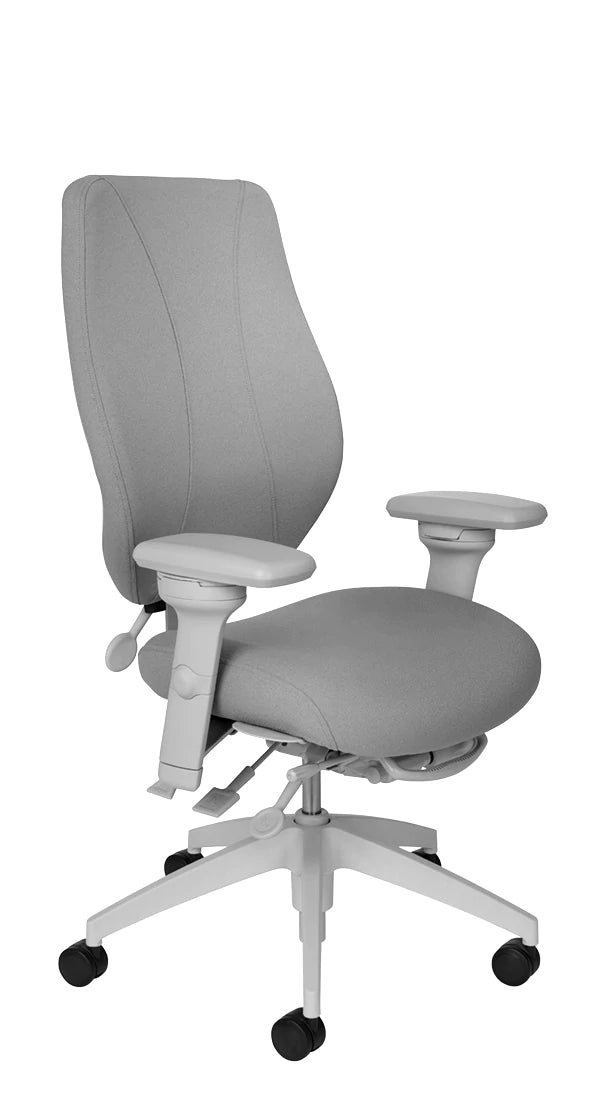 ErgoCentric tCentric Multi-Tilt Series Upholstered Backrest - Light Grey Frame