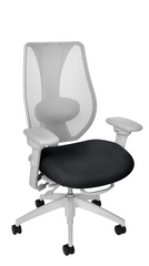 ErgoCentric AirCentric™ 2 Multi-tilt Ergonomic Chair HOME OFFICE